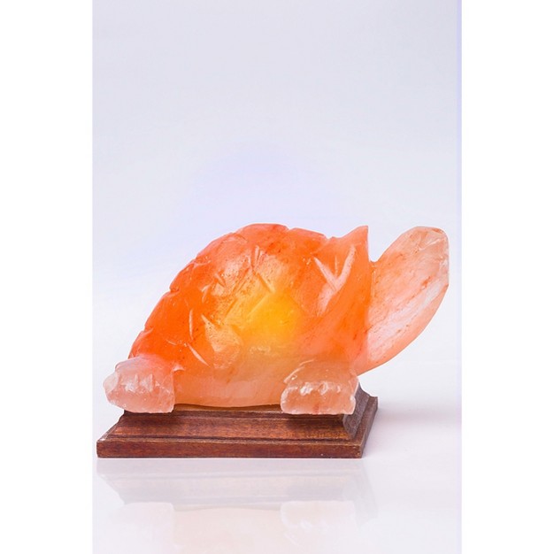 Turtle Salt Lamp Pink Q amp a Himalayan Salt