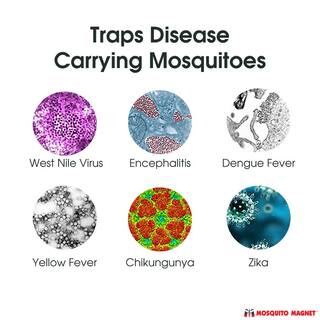 Mosquito Magnet Octenol Insect and Mosquito Replacement Insect Attractant (3-Count) OCTENOL3