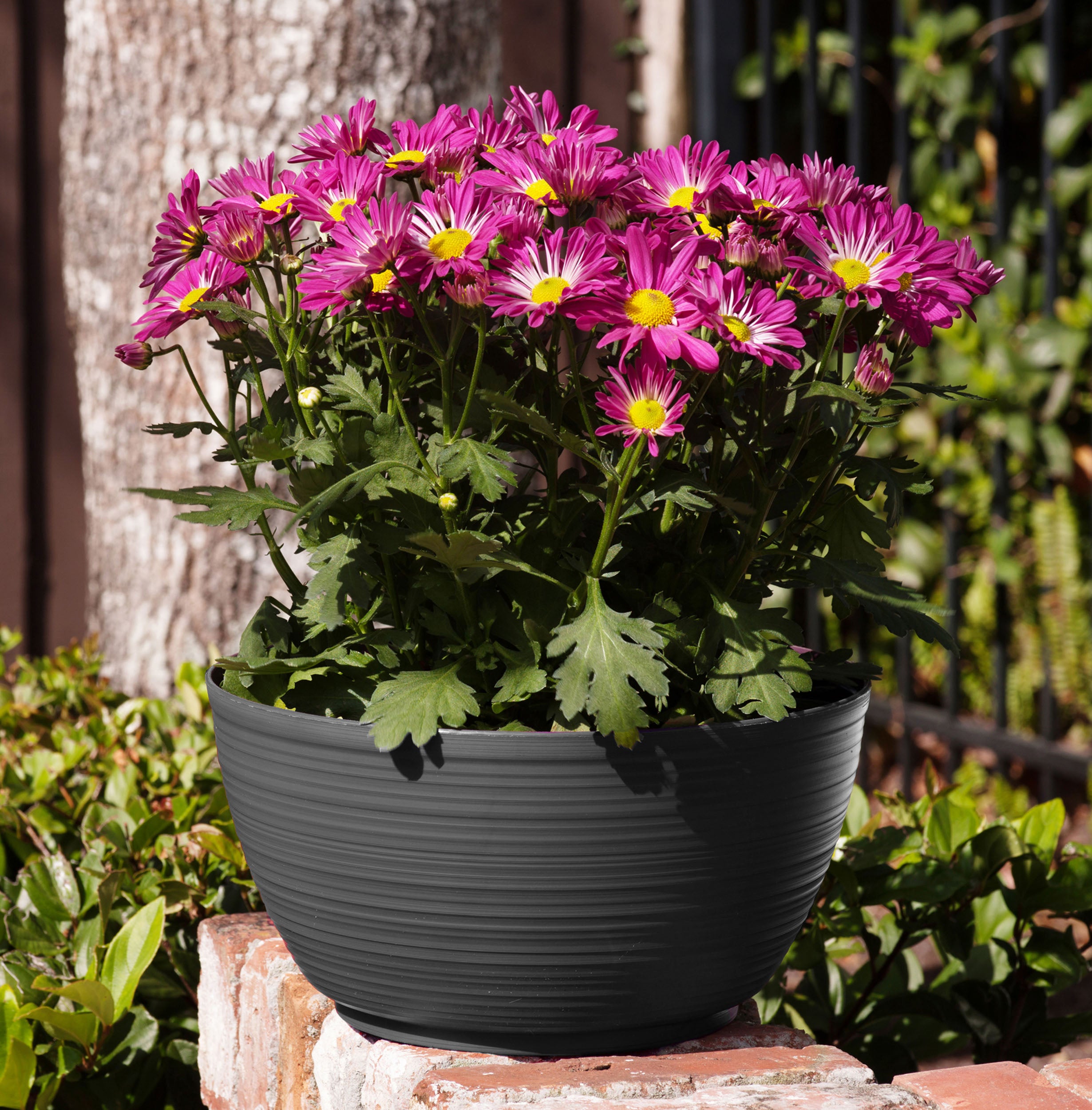 Bloem 15" x 15" x 8" Bowl Charcoal and Gray Plastic, Resin, Polyethylene and Polypropylene Plant Planter