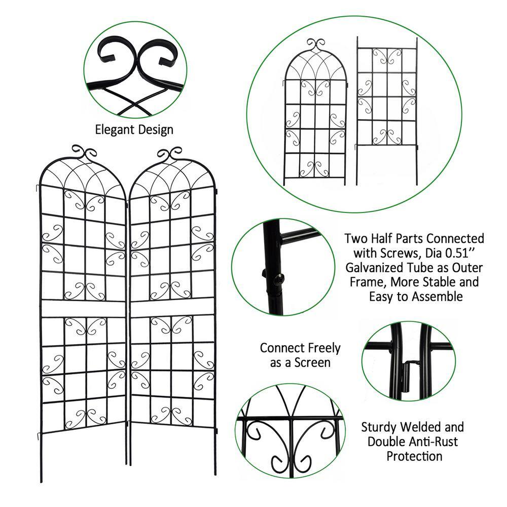 Zeus  Ruta 86 .7 in. Black 2-Pack Metal Garden Trellis for Climbing Plants Outdoor BCFG-126