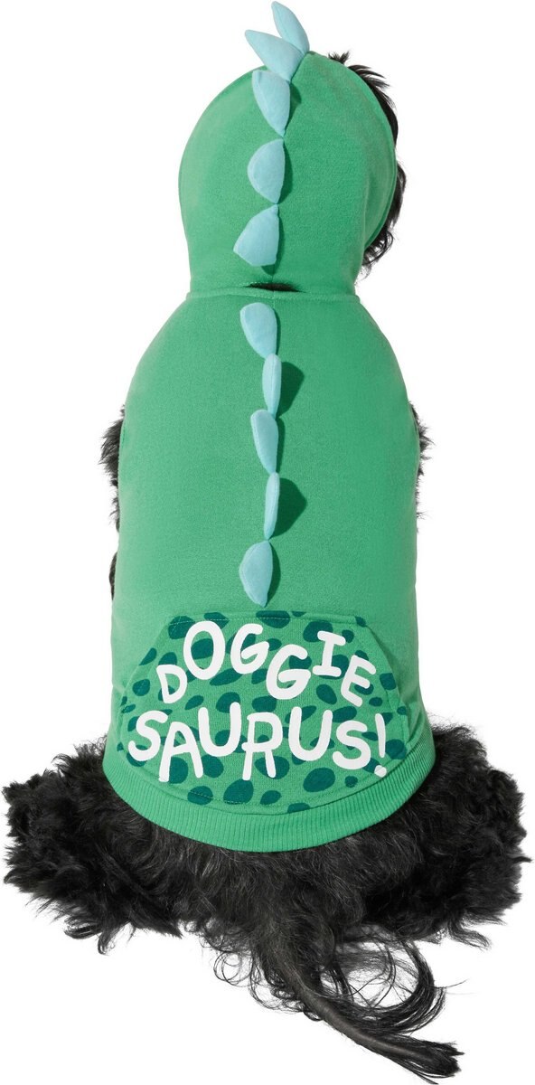 Frisco Doggiesaurus Dog and Cat Hoodie， Green