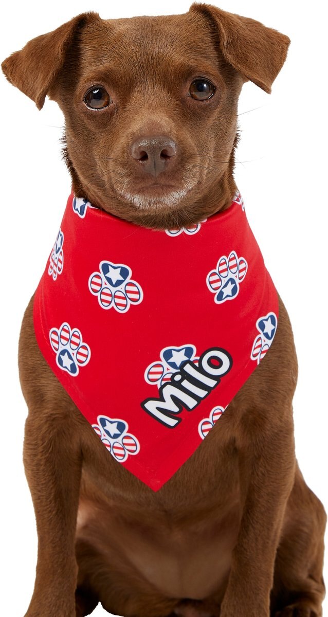 Frisco Patriotic Paws Personalized Dog and Cat Bandana