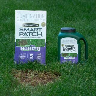 Pennington 10 lbs. Smart Patch Dense Shade Grass Seed with Mulch Fertilizer 100545666