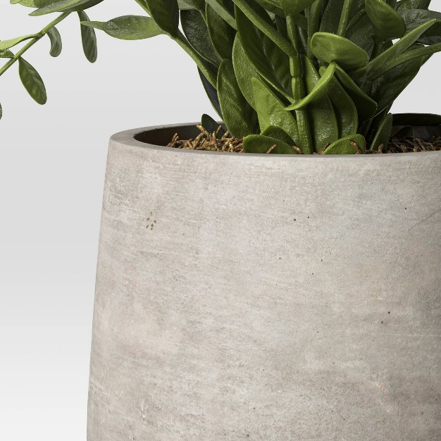 Privet Artificial Plant Designed With Studio Mcgee