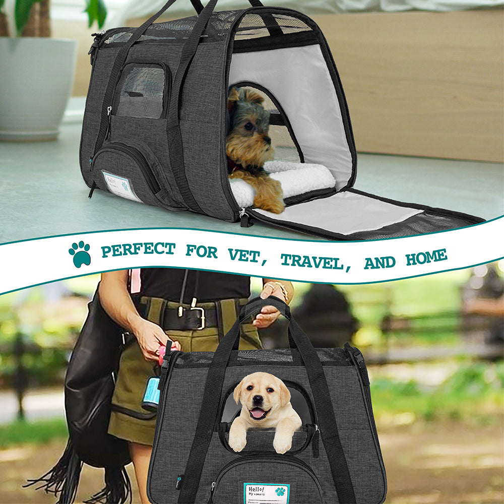 PetAmi Premium Airline Approved Soft Sided Pet Carrier， Charcoal