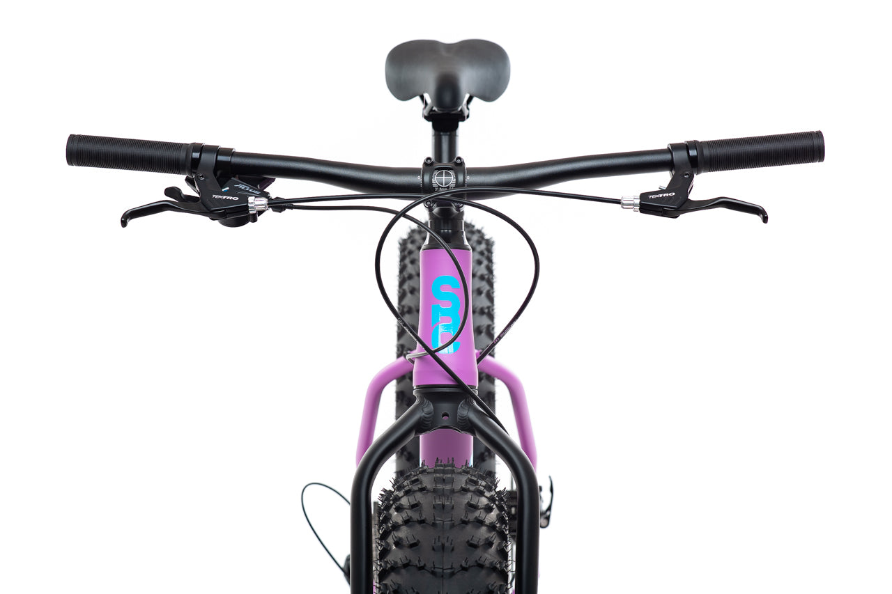 6061 Trail+ Fat Bike - Wildberry
