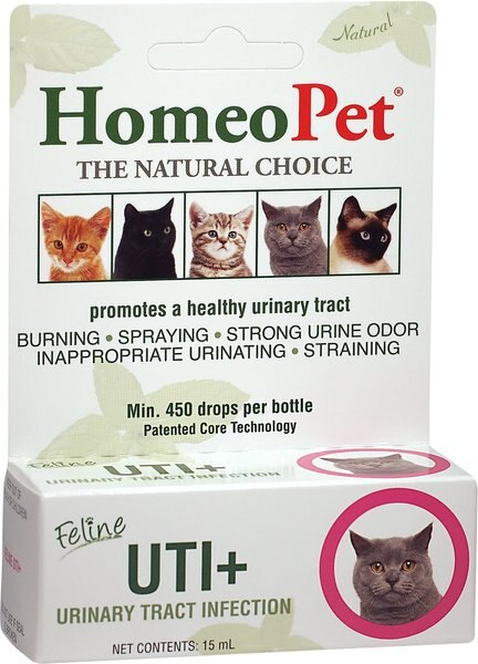 HomeoPet UTI+ Homeopathic Medicine for Urinary Tract Infections (UTI) for Cats