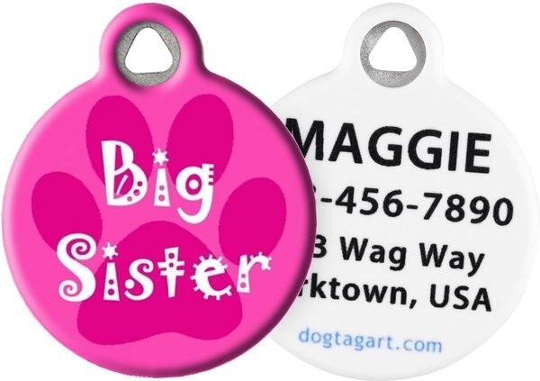 Dog Tag Art Big Sister Personalized Dog and Cat ID Tag