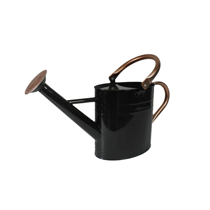 Wholesale1 L Watering Can Supply Galvanized With Powder Coated Finished Design Luxury High Quality Metal Watering Can