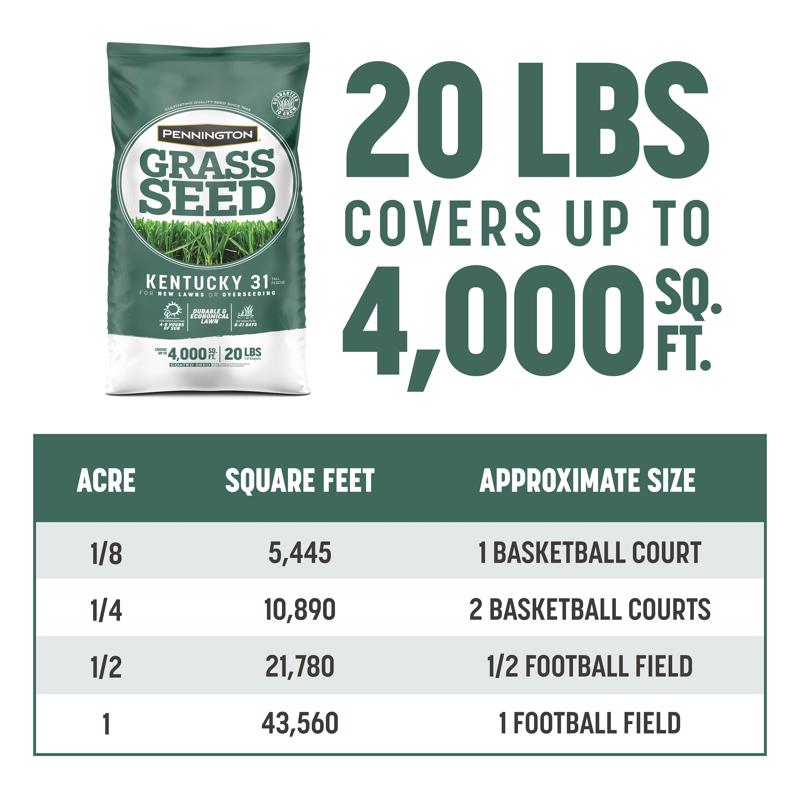 GRASS SEED KY31 TF 20#