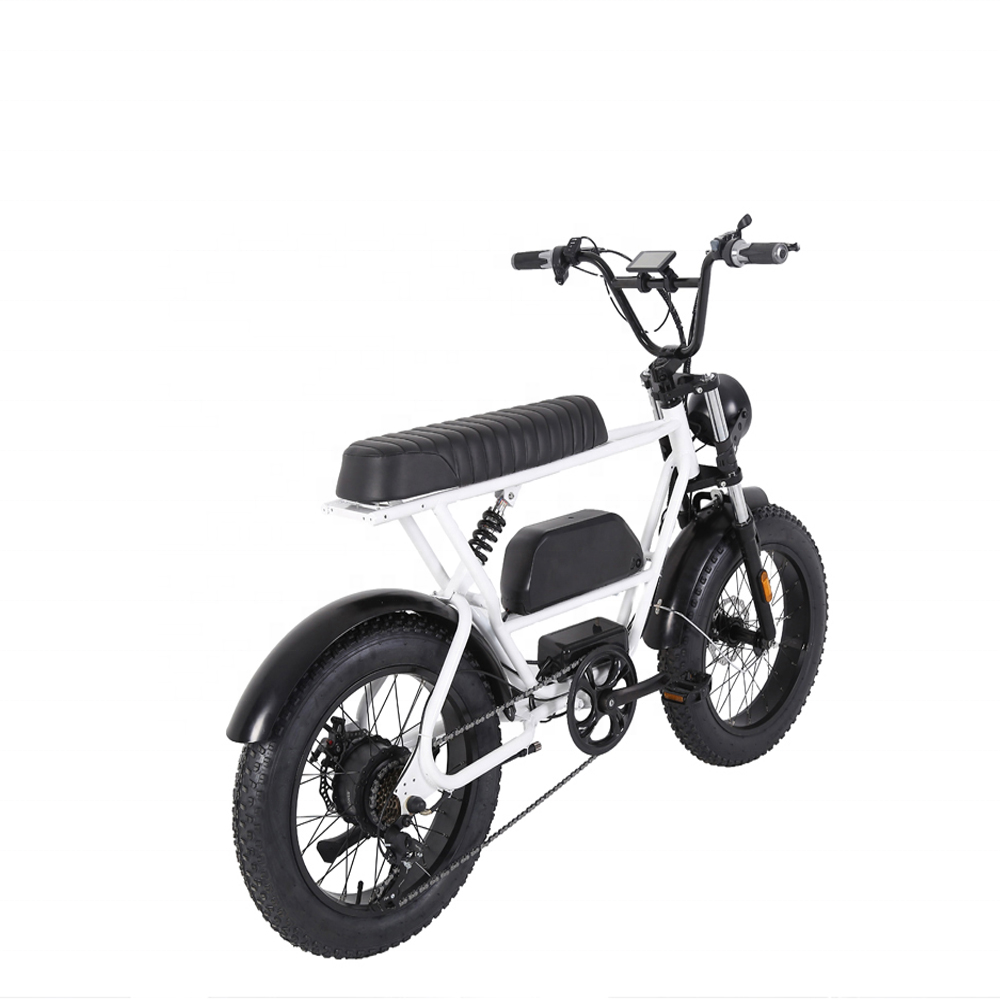 AITAIER Sample available electric cycle mountain ebike 26 29 inch electric bicycle 1000W 48V 10 ah OEM colors electric city bike