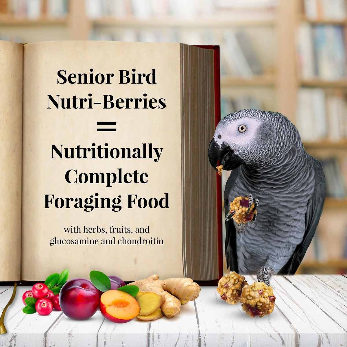 Lafeber Senior Bird Nutri-Berries Parrot Bird Food