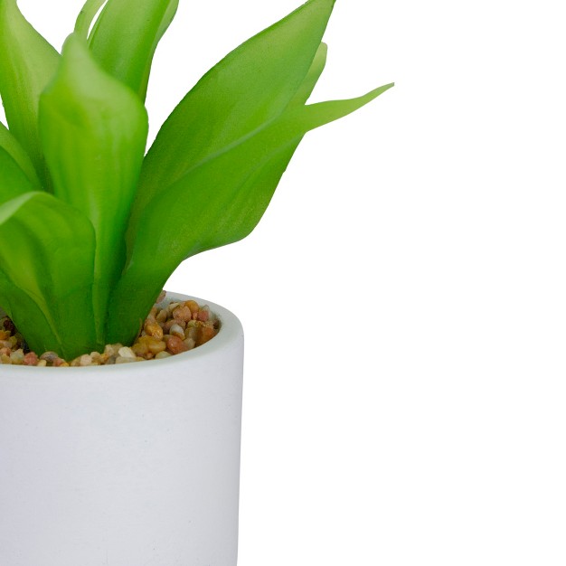 Green Artificial Aloe Plant In A White Pot