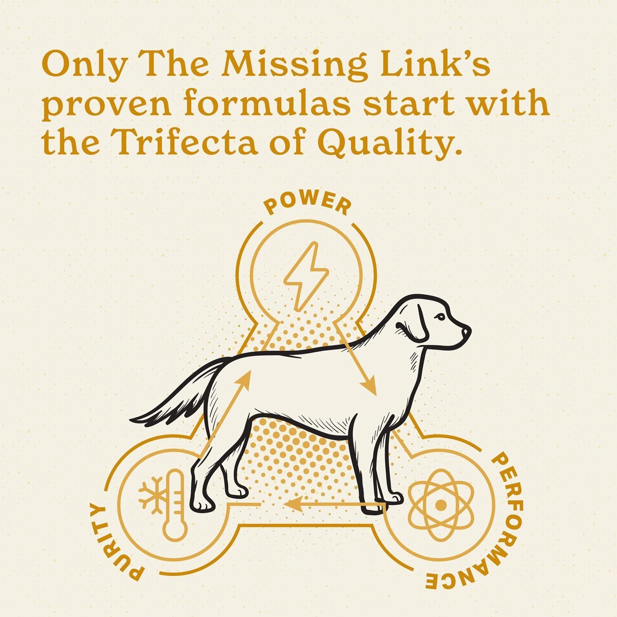 The Missing Link Skin and Coat Powder Dog Supplement