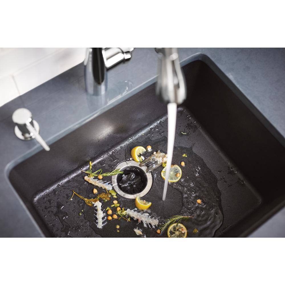 MOEN Host Series 34 HP Continuous Feed Space Saving Garbage Disposal with Sound Reduction and Universal Mount EX75C