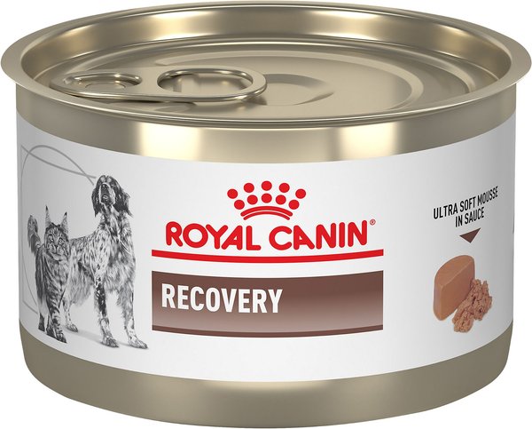 Royal Canin Veterinary Diet Recovery Ultra Soft Mousse in Sauce Wet Dog and Cat Food