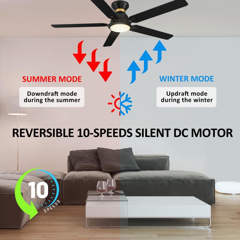 CARRO Essex 52 in Dimmable LED IndoorOutdoor Black Smart Ceiling Fan with Light and Remote Works with AlexaGoogle Home