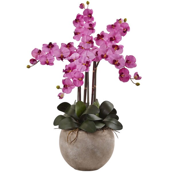 Nearly Natural Multicolored Silk Phalaenopsis Orchid Floral Arrangement