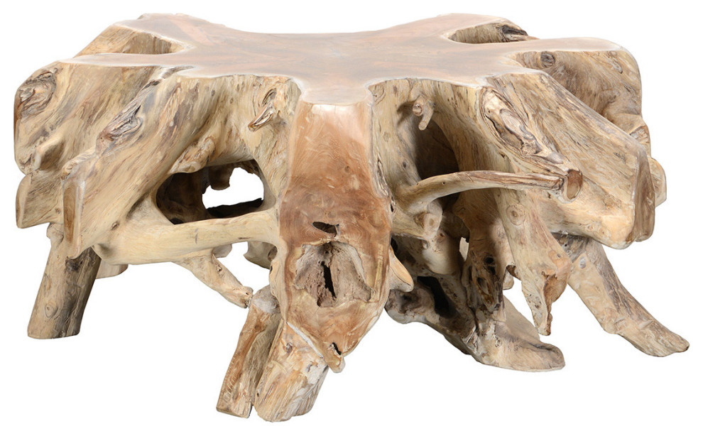 Large Teak Root Coffee Table   Transitional   Coffee Tables   by Terra Nova Designs  Inc.  Houzz