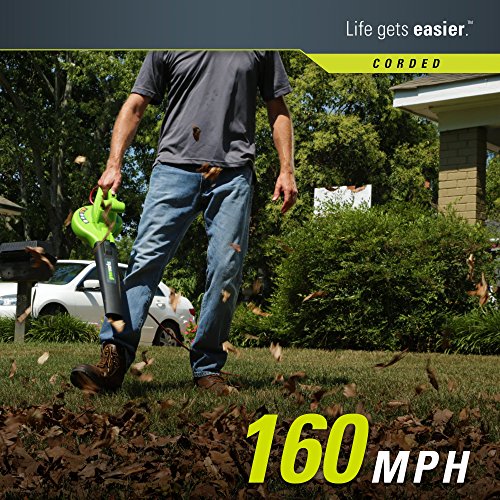 Greenworks Tools 263983 160 mph Amp Electric Leaf Blower