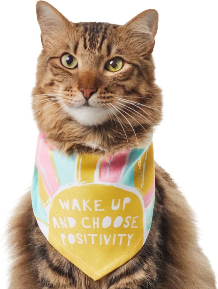 Frisco Wake Up Positive Dog and Cat Bandana