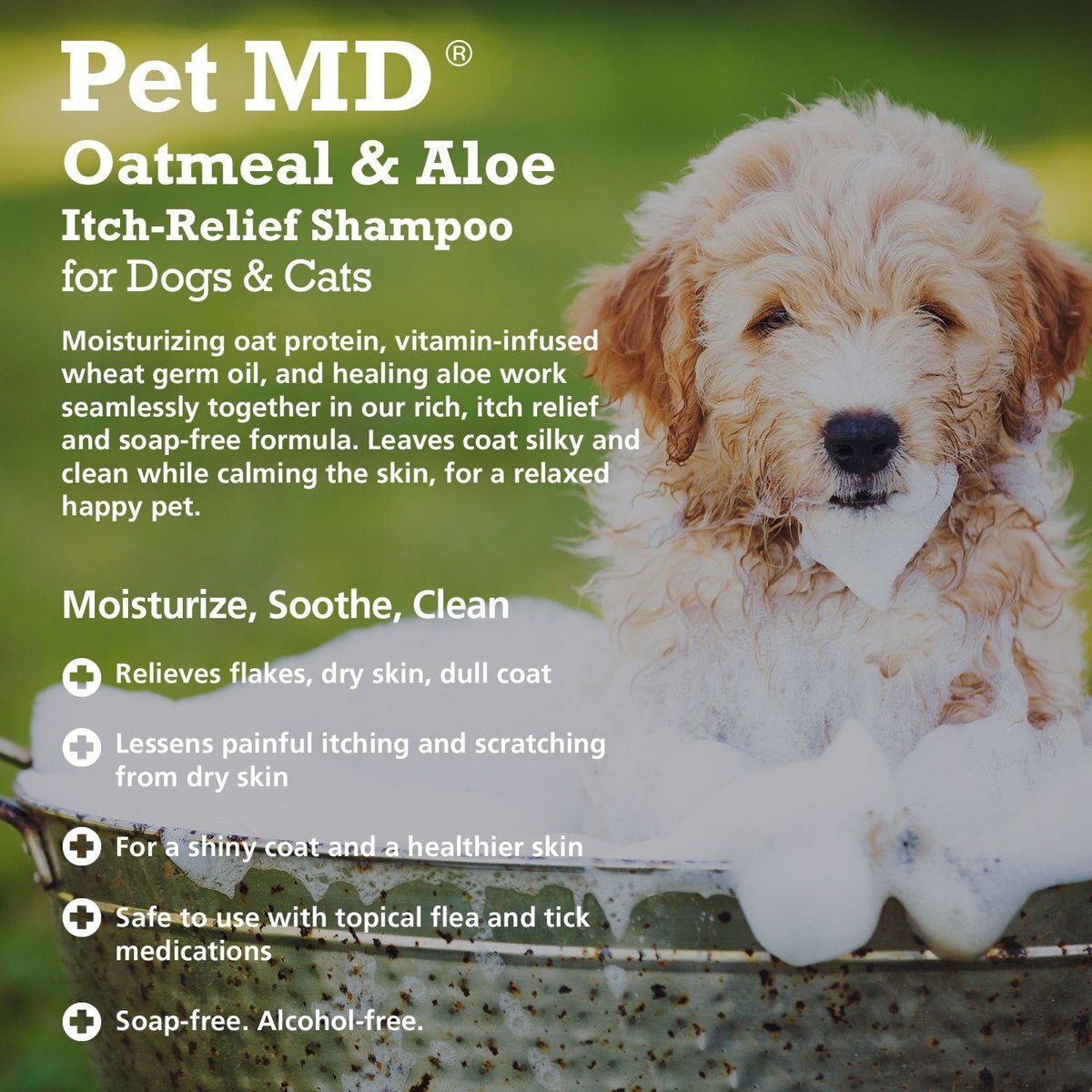 Pet MD Oatmeal and Aloe Itch Relief Dog and Cat Shampoo， 16-oz bottle