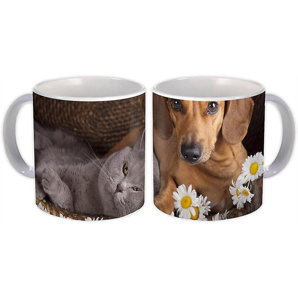 Gift Mug: Dachshund Daisy and Cat Dog