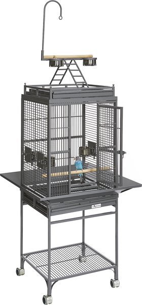 MidWest Avian Adventures Nina Playtop Bird Cage