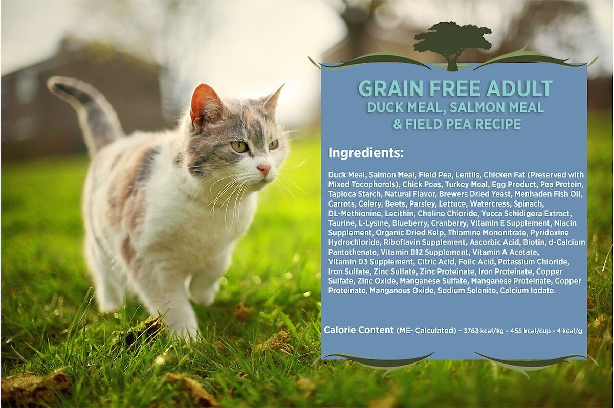 Blackwood Duck Meal， Salmon Meal and Field Pea Grain-Free Dry Cat Food