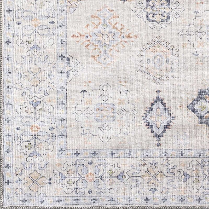 North Utica Traditional Washable Area Rug