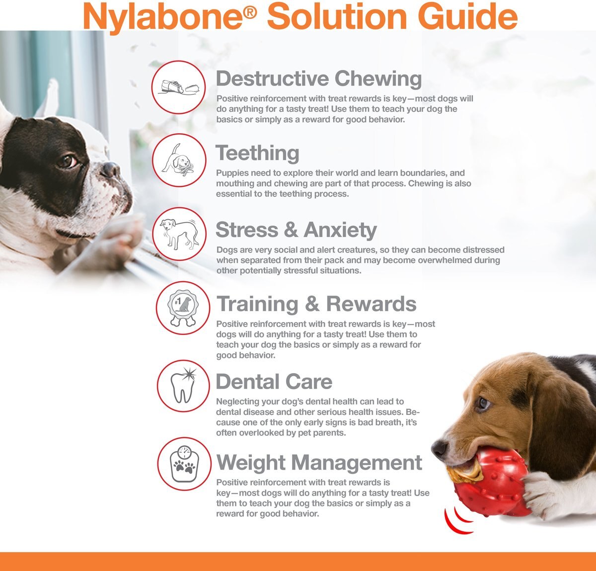 Nylabone Power Chew Wishbone Bison Flavored Dog Chew Toy