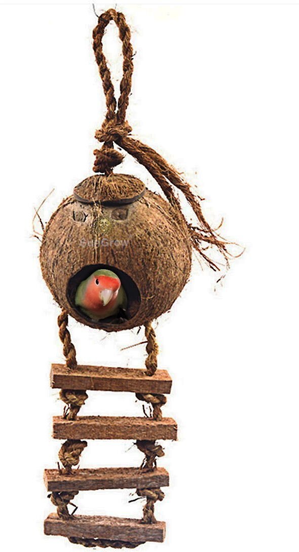 SunGrow Coconut Shell Nest and Window Feeder with Ladder Perch Cage Accessory and Hanging Parakeet， Finch and Budgie Bird House