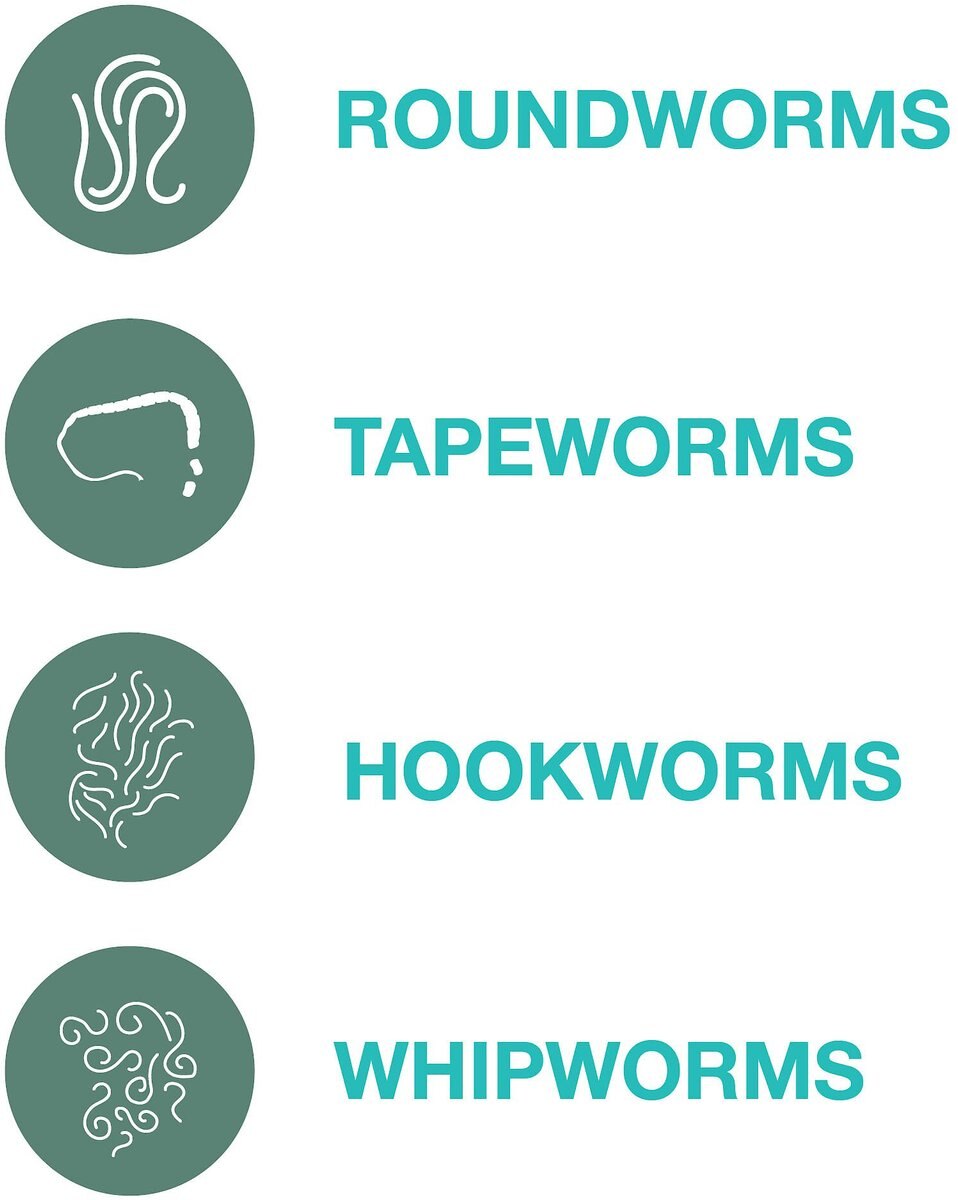 Elanco Quad Dewormer for Hookworms， Roundworms， Tapeworms and Whipworms for Medium Breed Dogs