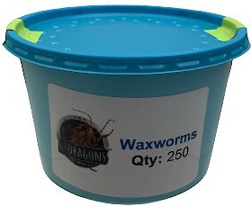 ABDragons Waxworms Small Pet and Reptile Food