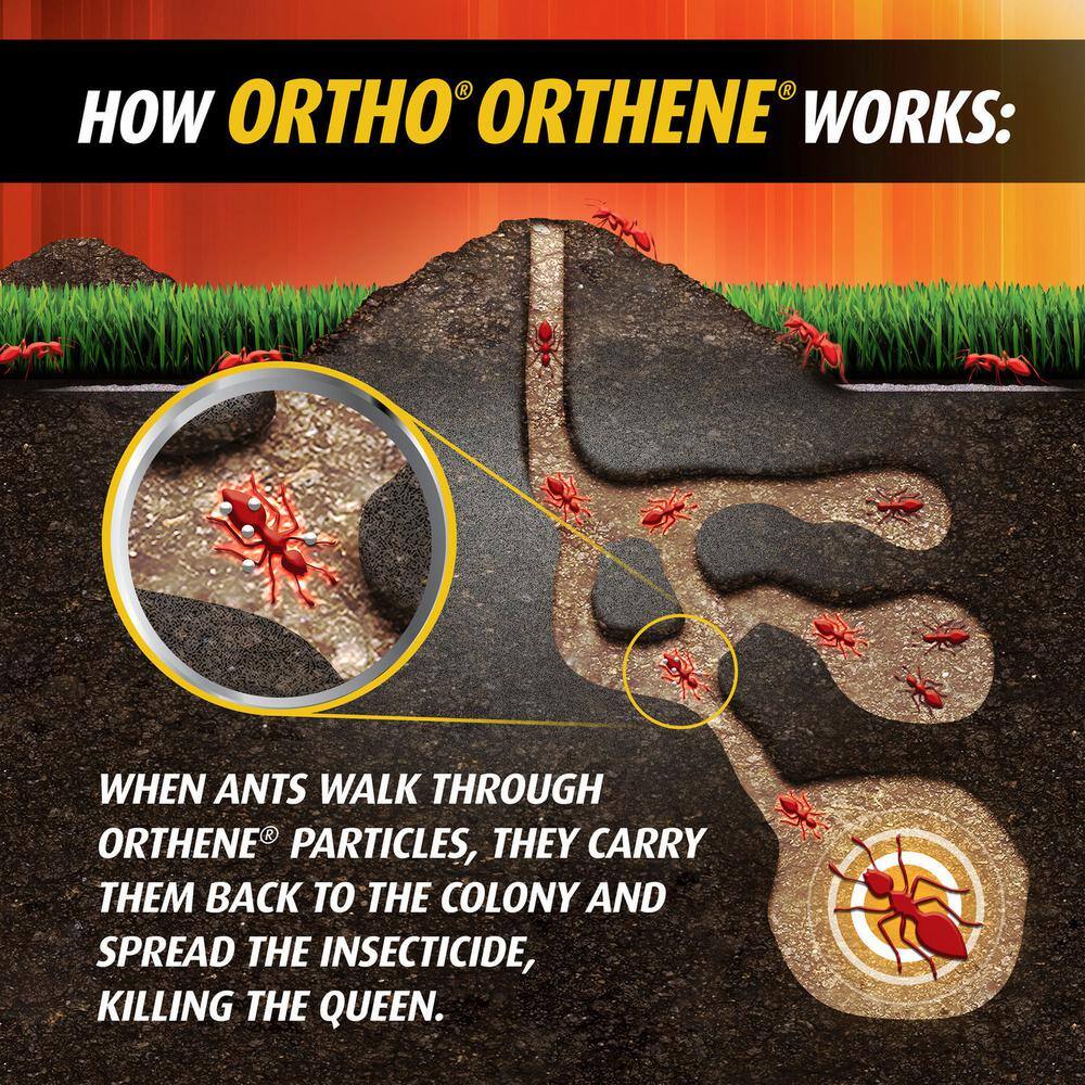 Ortho Orthene 12 oz. Fire Ant Killer Twin Pack 275501