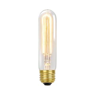 Globe Electric 60 Watt T10 Dimmable Antique Style Radio Tube Vintage Edison Incandescent Light Bulb Soft White Light 01322