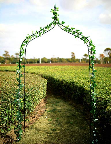 1. GO Gothic Steel Garden Arch, 8'3" High x 4'5" Wide, Garden Arbor for Various Climbing Plant