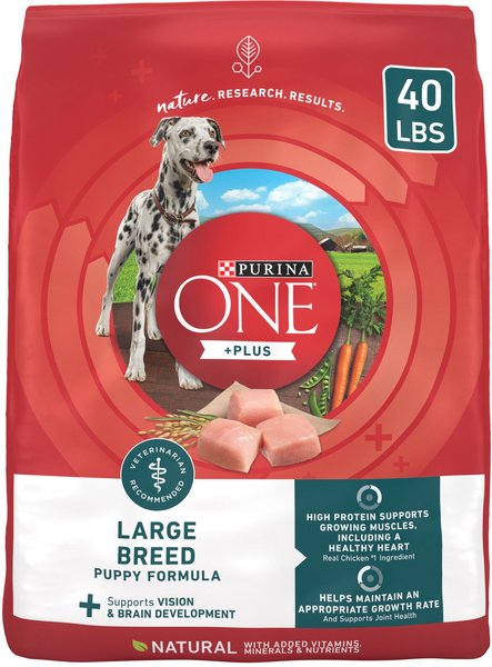 Purina ONE +Plus Natural Large Breed Formula Dry Puppy Food