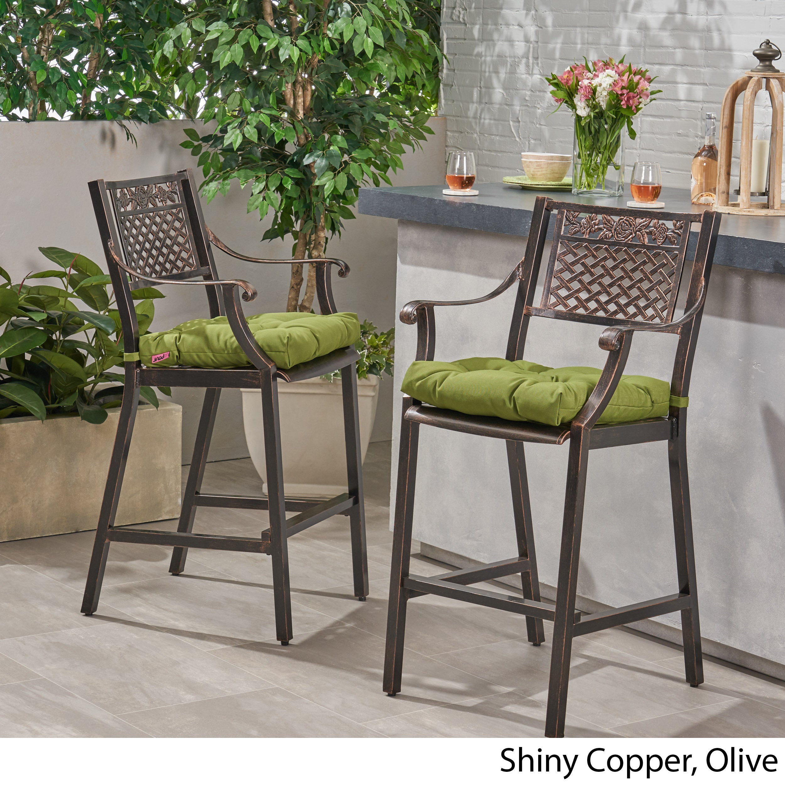 Vista Outdoor Barstool with Cushion (Set of 2)