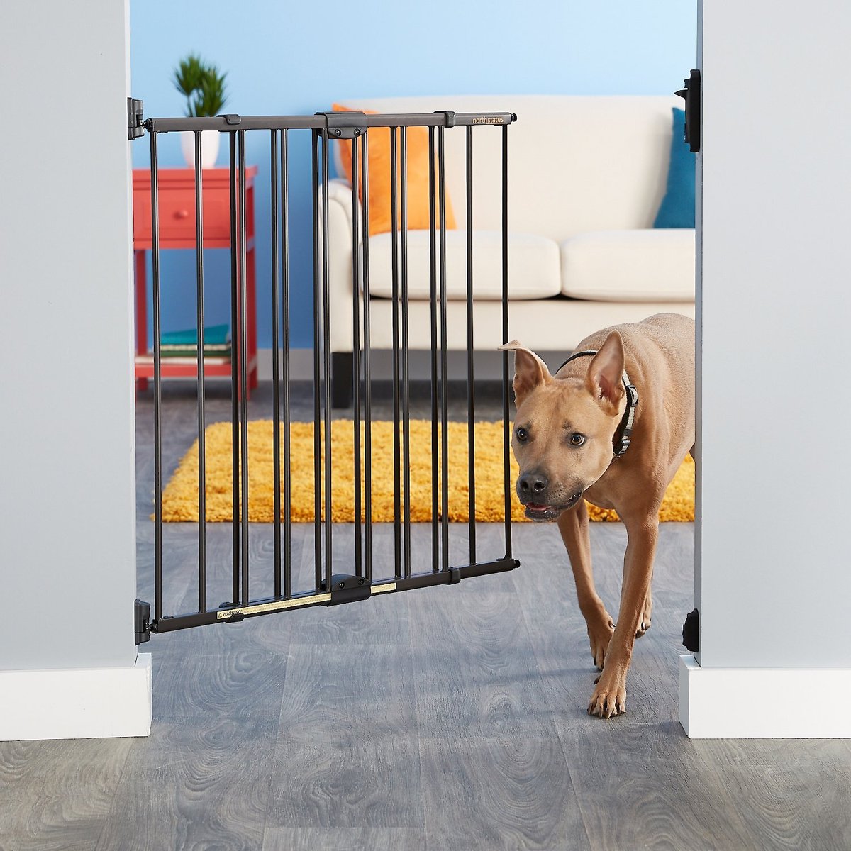 MyPet Windsor Walk Thru Swing Gate for Dogs and Cats