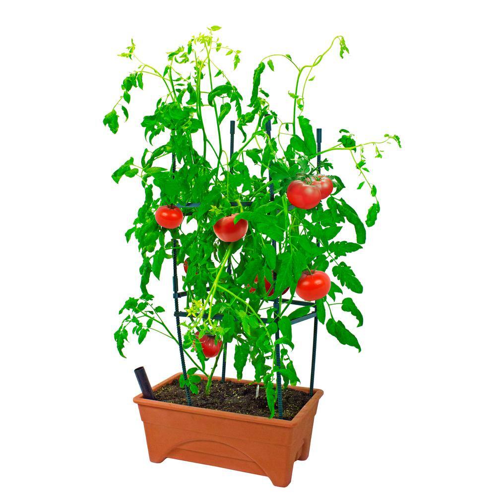 CITY PICKERS Start Pickin' 12 in. x 20 in. Terra Cotta Resin Patio Raised Garden Bed Grow Box Kit with Self Watering System 2375