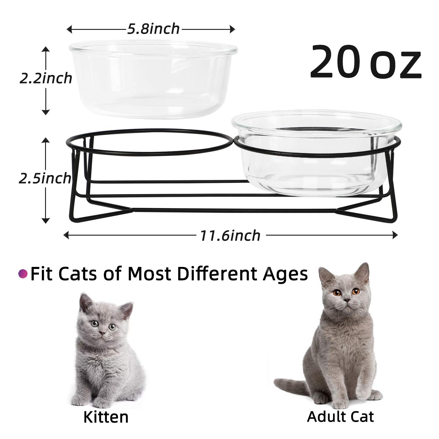 Double Glass Raised Cat or Small Dog Bowls with Metal Stand 20 Ounces, Transparent