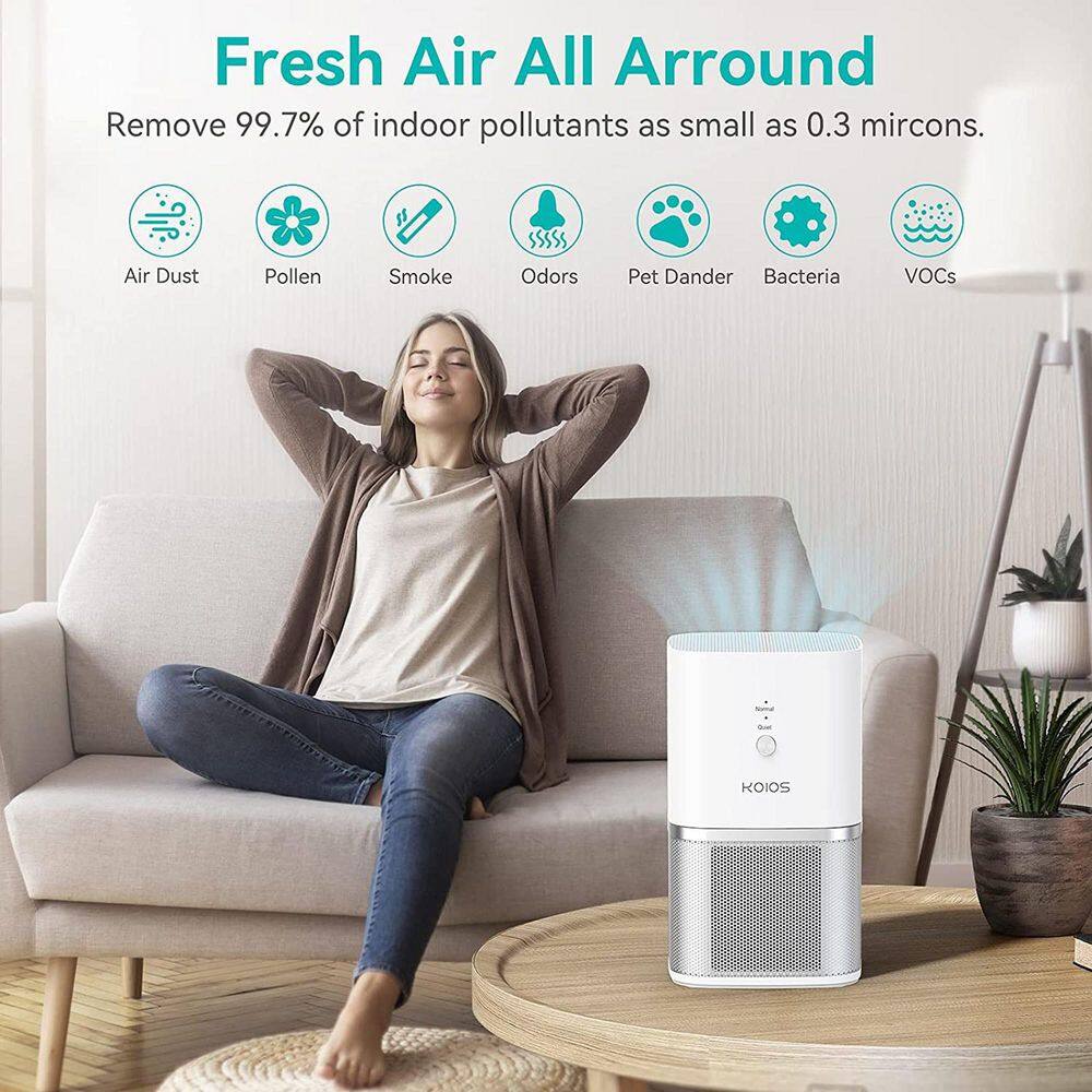 Small Air Purifiers with True HEPA Filter KX93-7