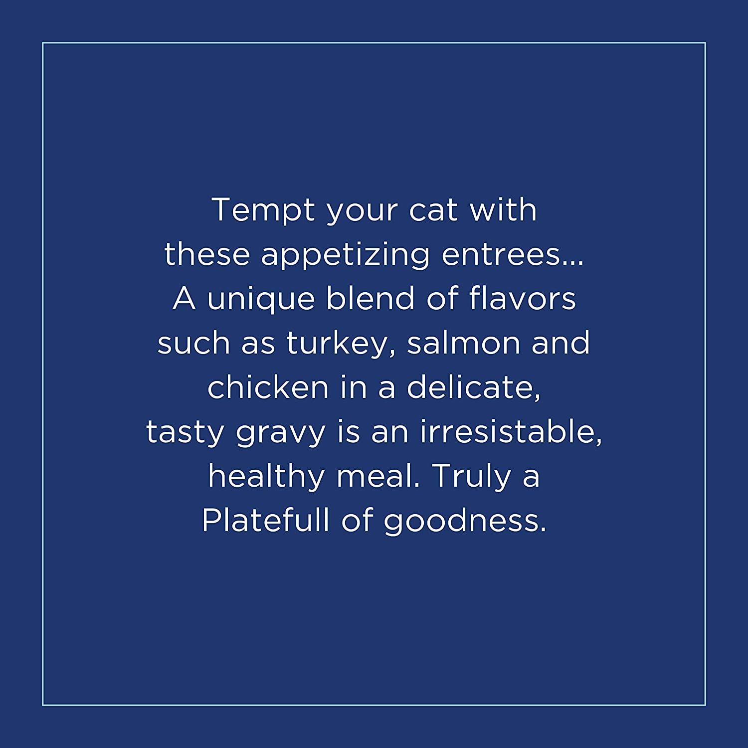 Natural Balance Platefulls Indoor Formula Turkey Salmon and Chicken in Gravy Grain-Free Cat Food Pouches 3-oz pouch case of 24