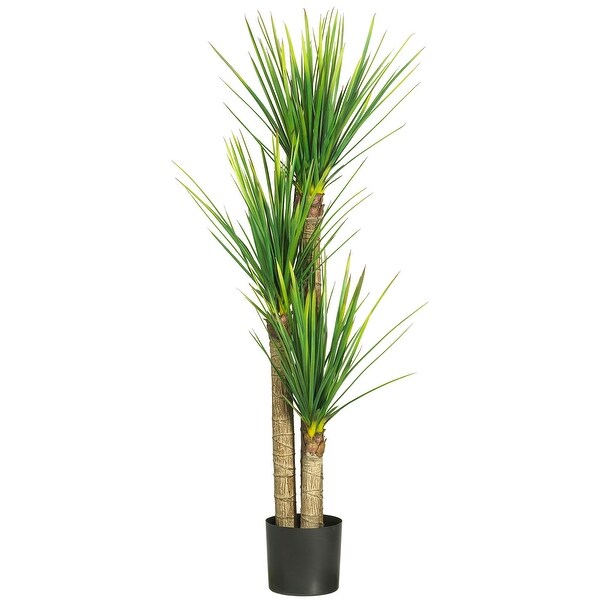 58.5 Yucca Silk Tree