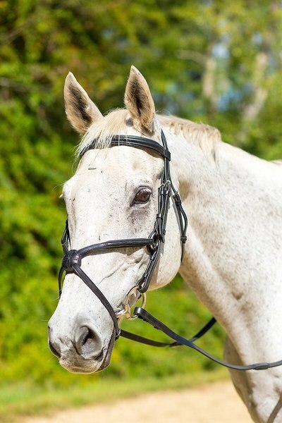 Shires Equestrian Products Avignon Woodside Horse Bridle