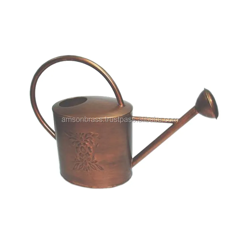 Mini Watering Can Indoor   Outdoor Used Watering Can Light Weight Watering Can Garden Galvanized Simple Metal Water