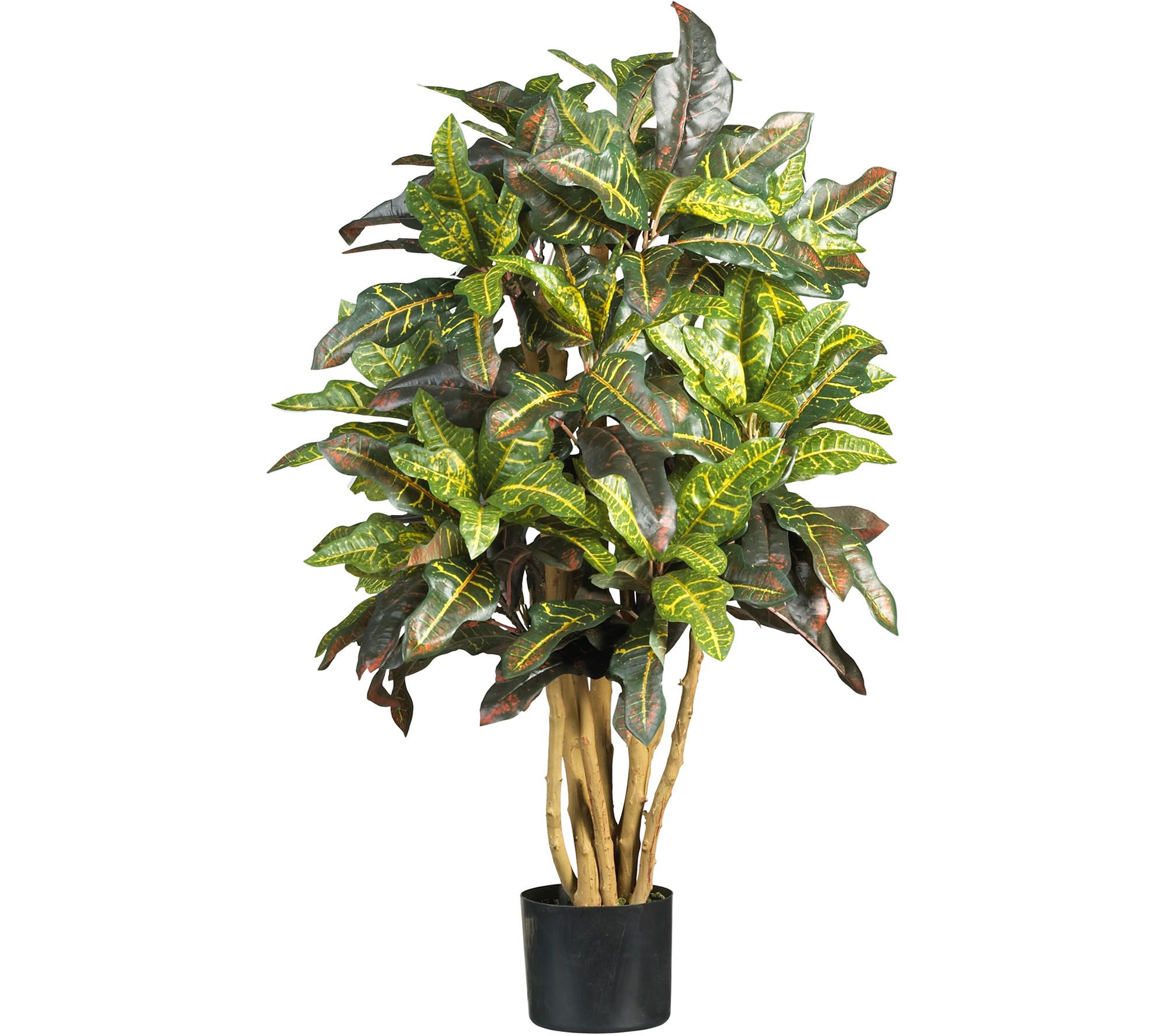 3' Croton Tree with 180 Leaves by Nearly Natural