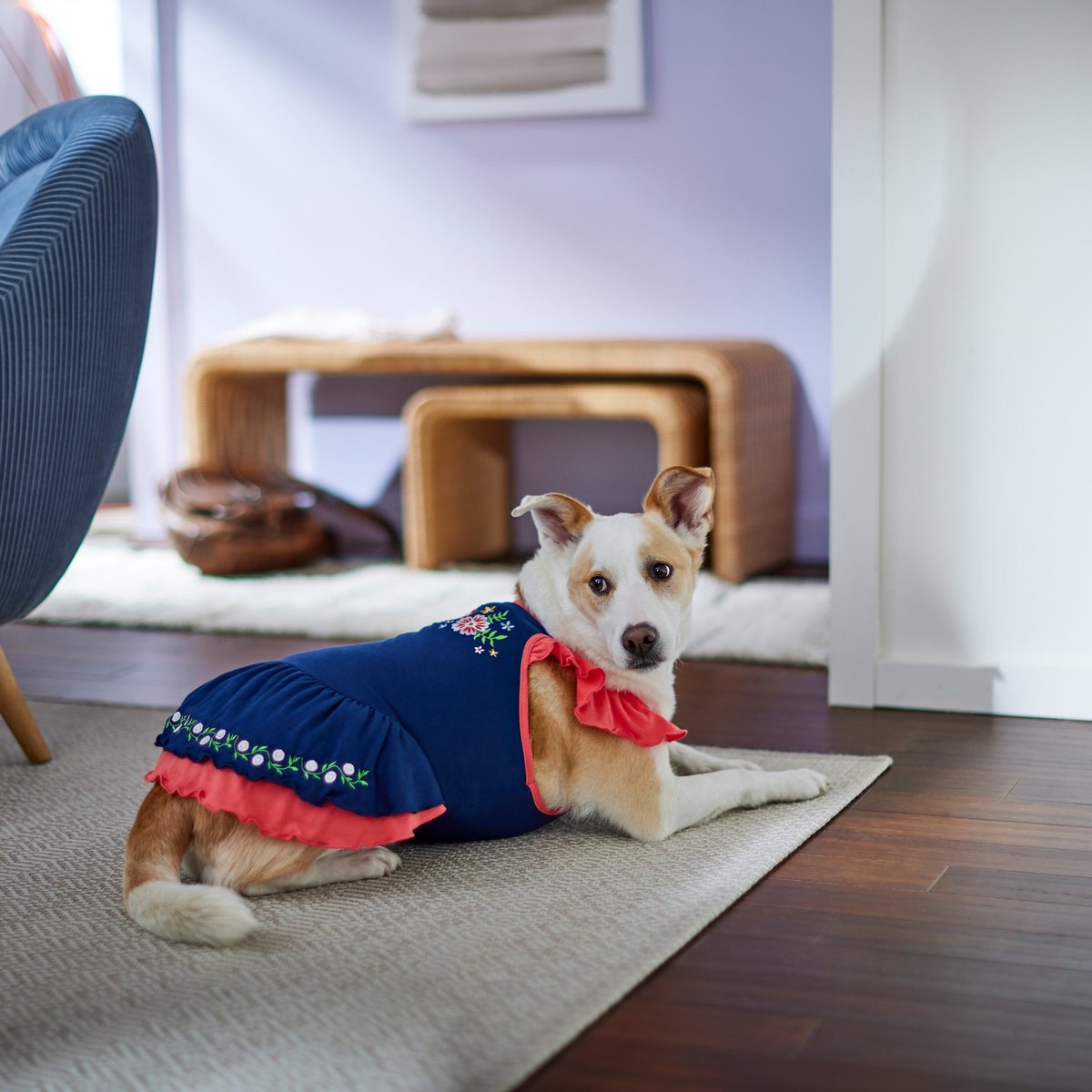 Frisco Embroidered Floral Dog and Cat Dress