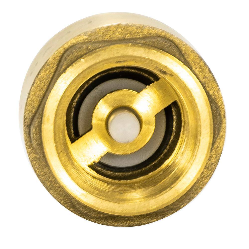 EZ-FLO 12 in. IPS Brass In-Line Check Valve 20401LF